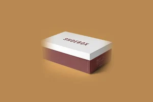 Ayakkabı Kutusu Yapan Firmalar